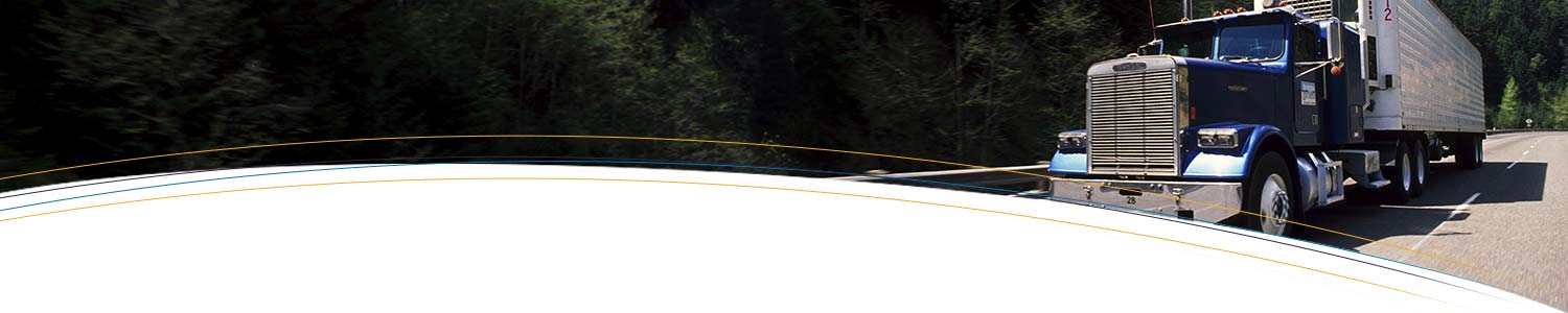 Procurement and Logistics